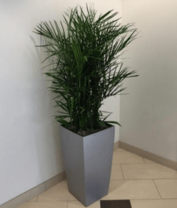 Aluminum painted planter